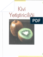 Kivi Yetiştiriciliği