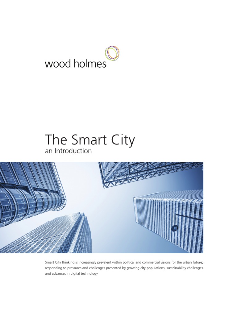 Smart City Framework and Strategies | PDF | Sustainability | Economies
