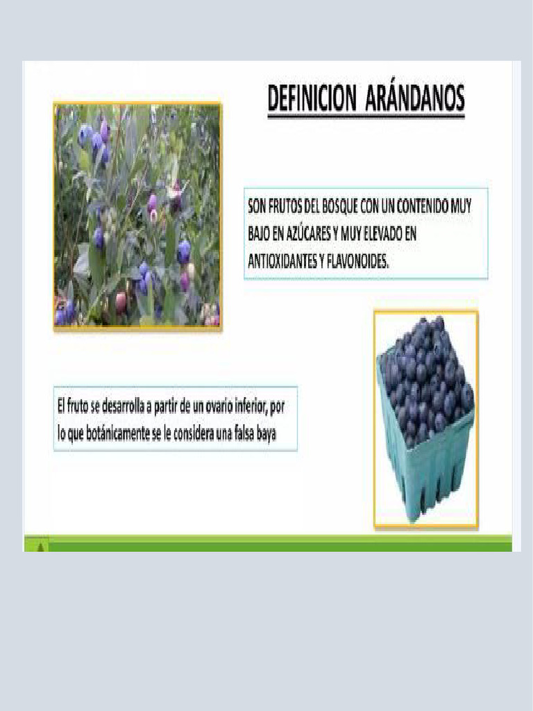 ARAND | PDF
