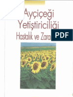 Ayçiçeği Yetiştiriciliği, Hastalıkları Ve Zararlıları