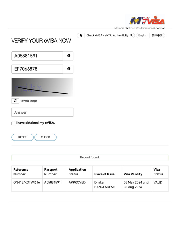 eVISA Verification for Travelers | PDF