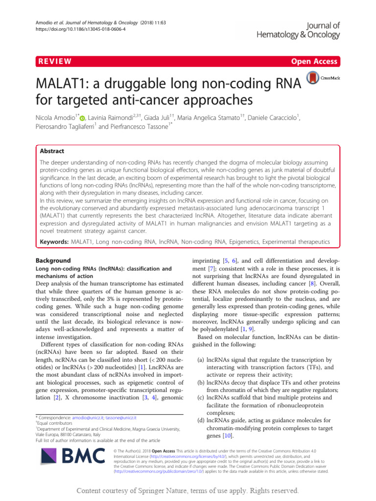 MALAT1: Targeting lncRNA in Cancer | PDF | Regulation Of Gene ...