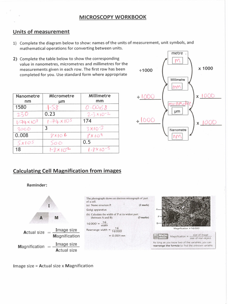 Microscopy Booklet Answers | PDF