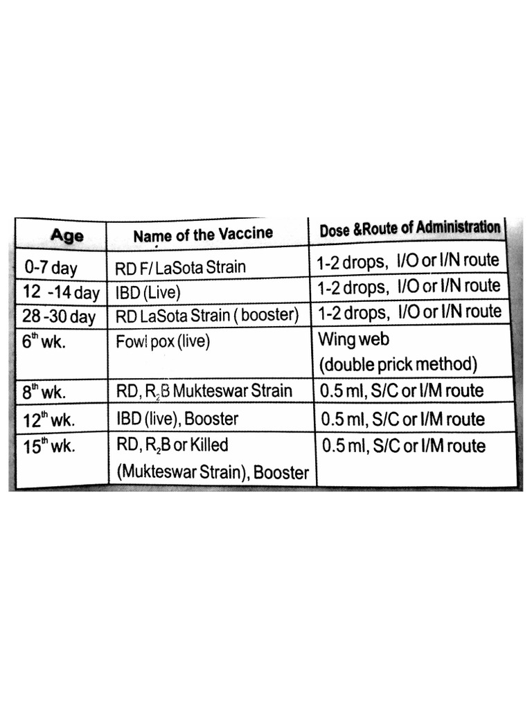 Vaccination Schedule For Backyard Poultry PDF
