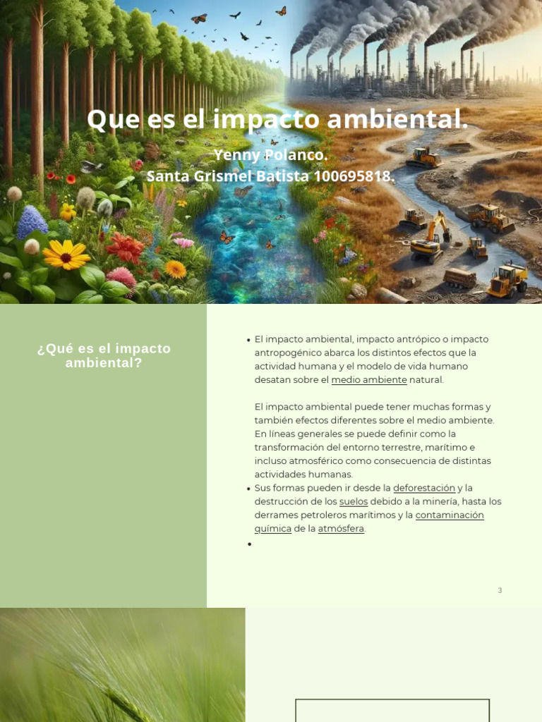 Impacto Ambiental: Tipos y Causas | PDF | Entorno natural | Contaminación