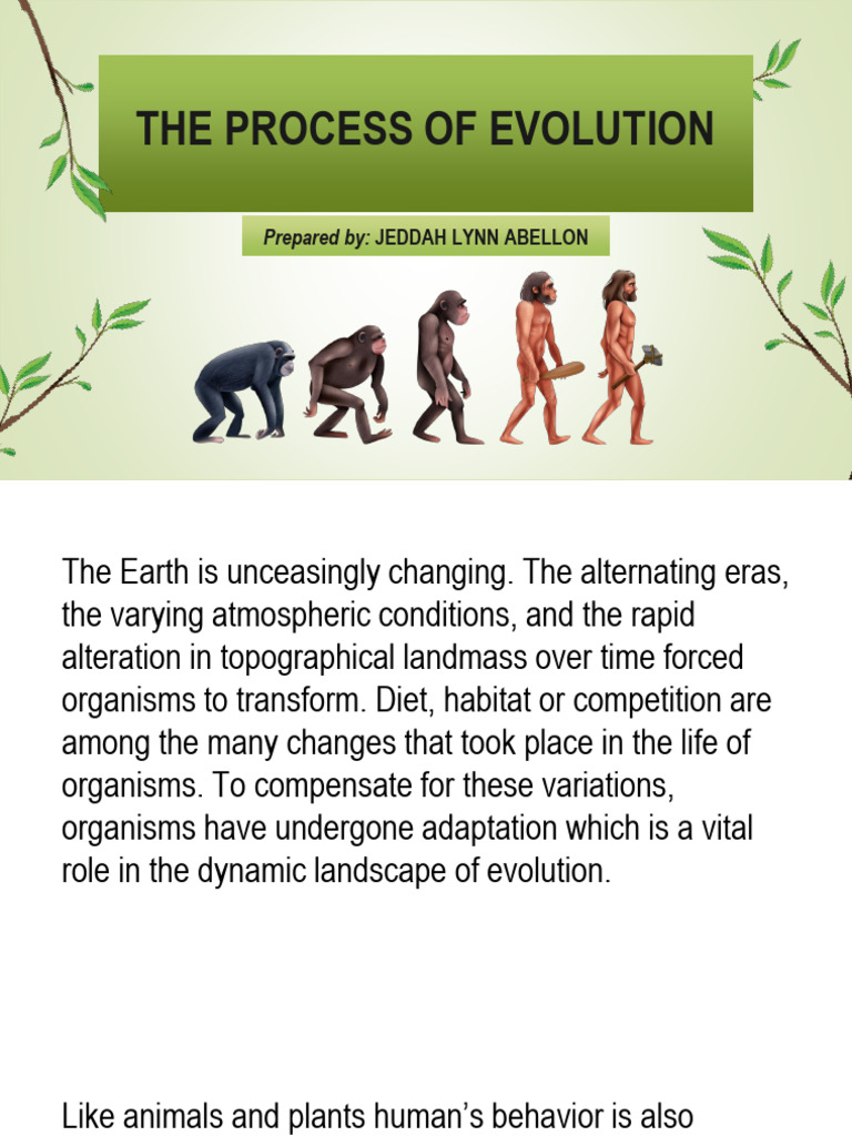 Understanding Evolutionary Processes | PDF | Evolution | Natural Selection