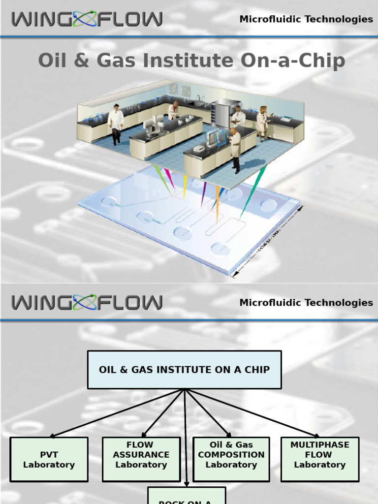 Oil&Gas Institute-on-a-Chip - Only - EN - 15 - 11 - 2018 | PDF ...