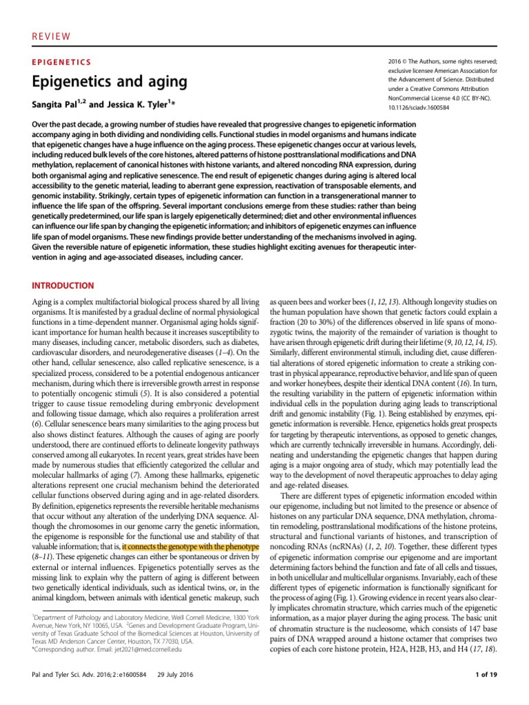 Epigenetics' Role in Aging Process | PDF | Epigenetics | Histone