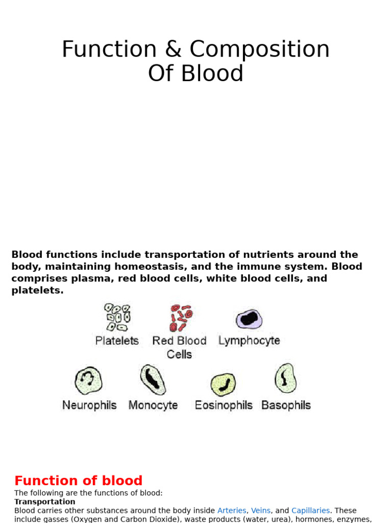 BLOOD COMPOSITION COMPONENTS AND FUNCTION visual data 6