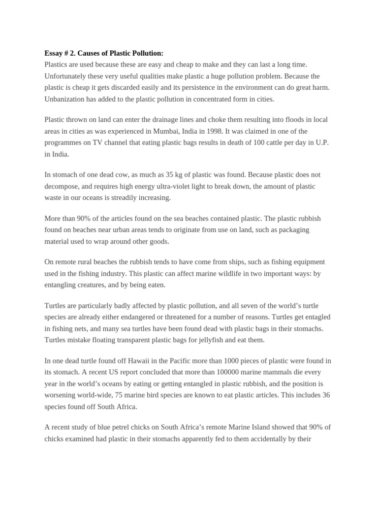 Essay 2 | PDF | Plastic
