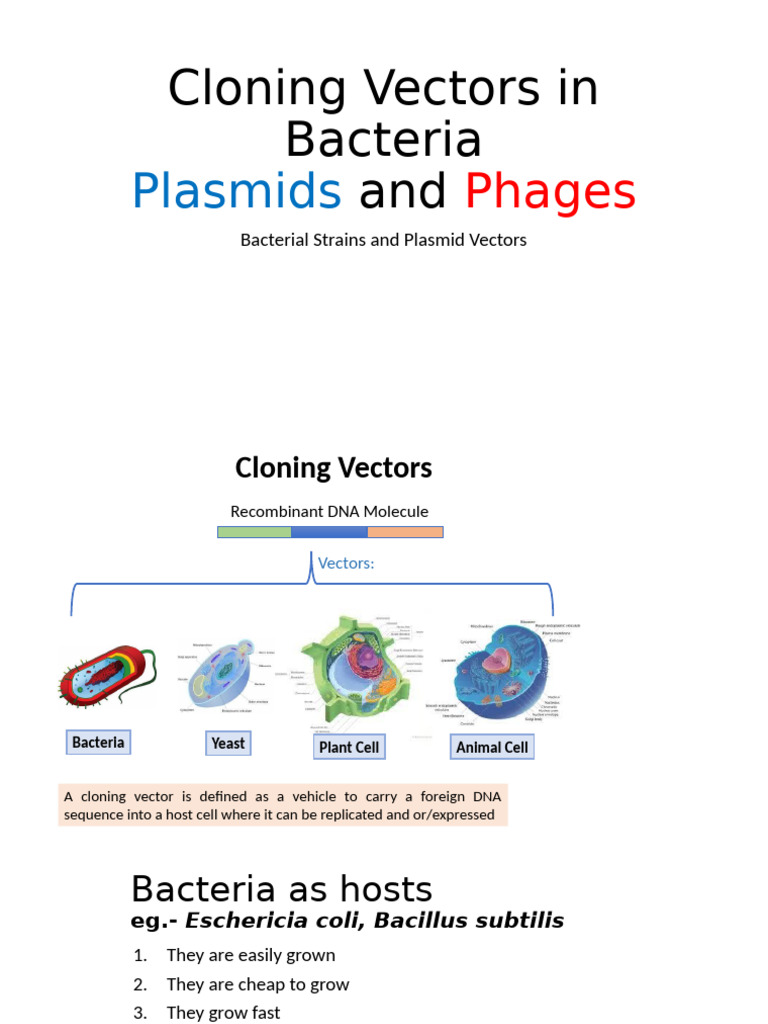 Lecture Plasmid Coning Vectors | PDF | Plasmid | Vector (Molecular Biology)