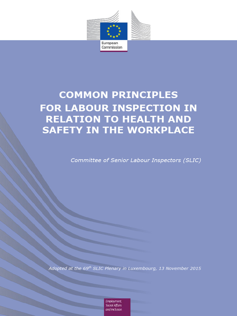 Labour Inspection Principles for OSH | PDF | Occupational Safety And ...