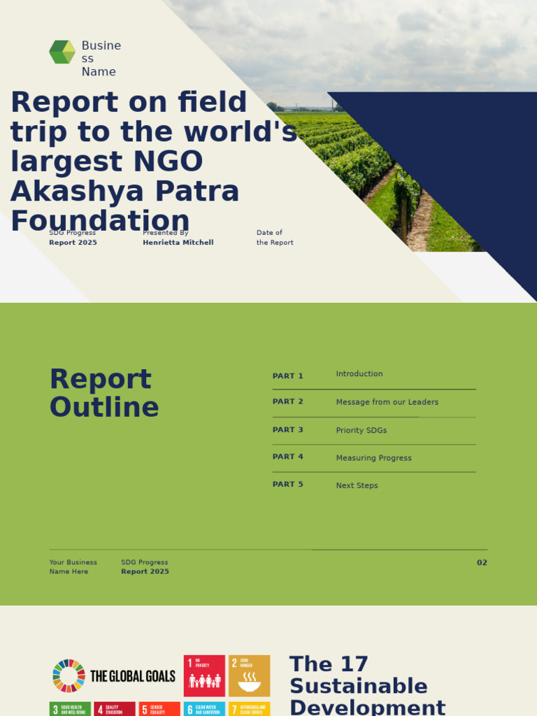 SDG Progress Report 2025 Overview | PDF | Infographics | Goal