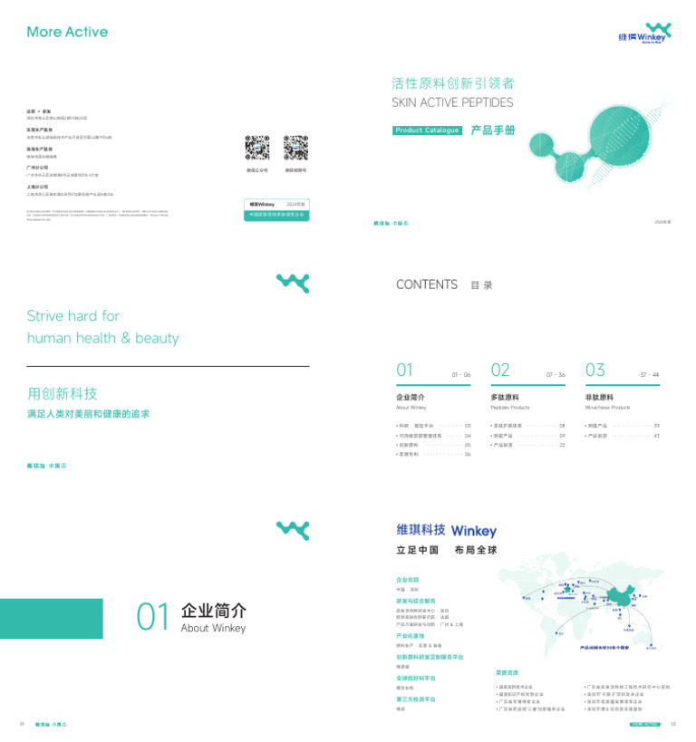维琪画册2024V1 | PDF