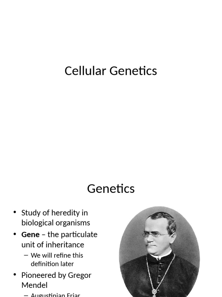 Understanding Cellular Genetics Basics | PDF | Ploidy | Translation ...