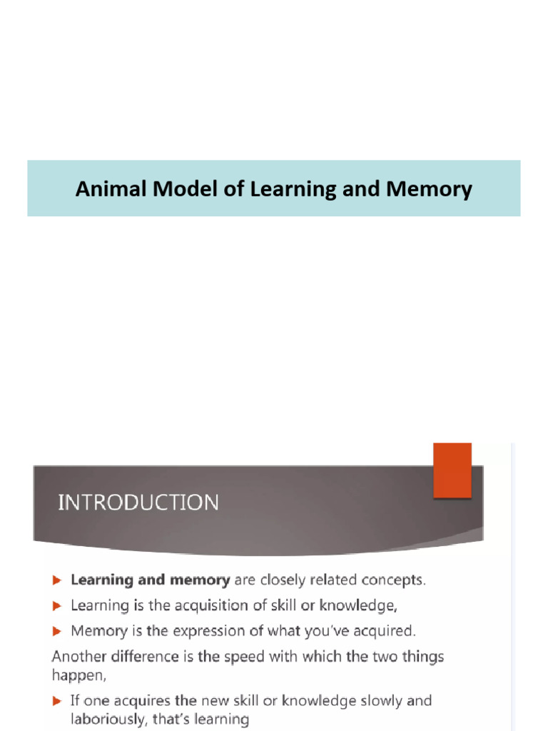 Animal Model For Learning And Memory Pdf