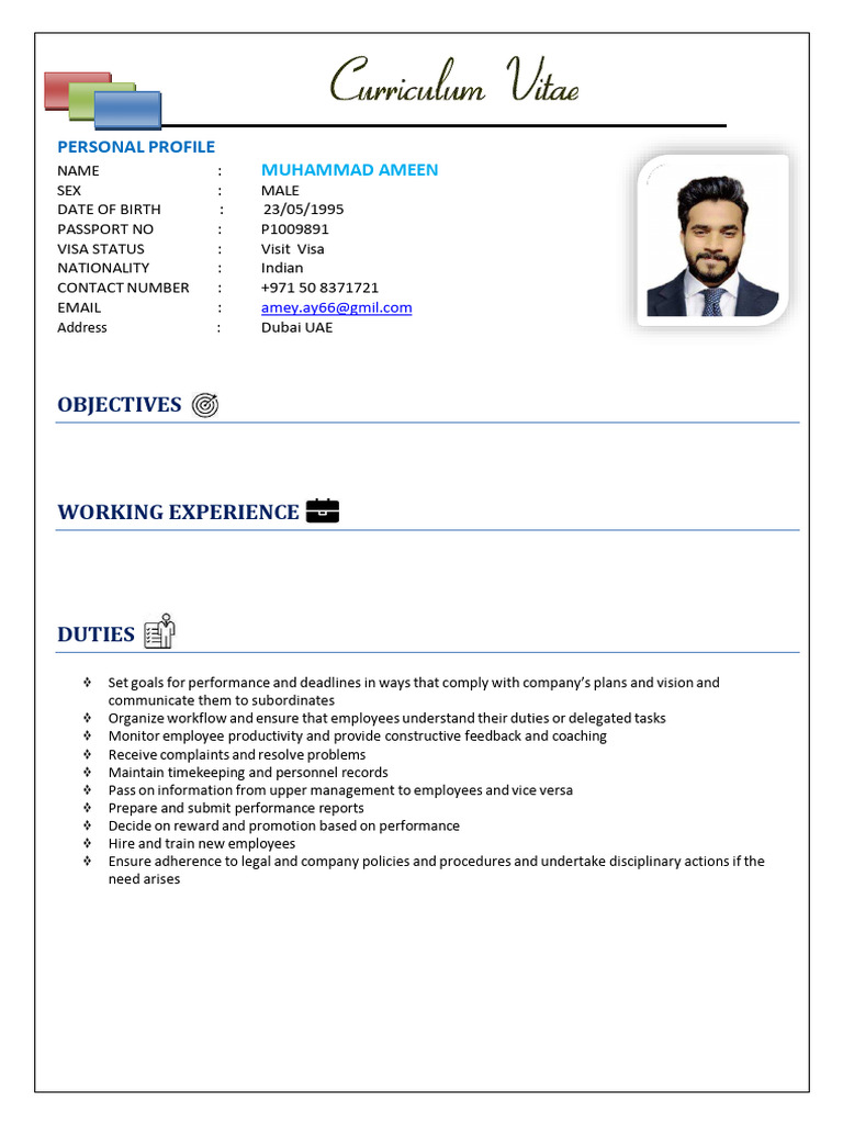Muhammad Ameen CV | PDF | United Arab Emirates | Business