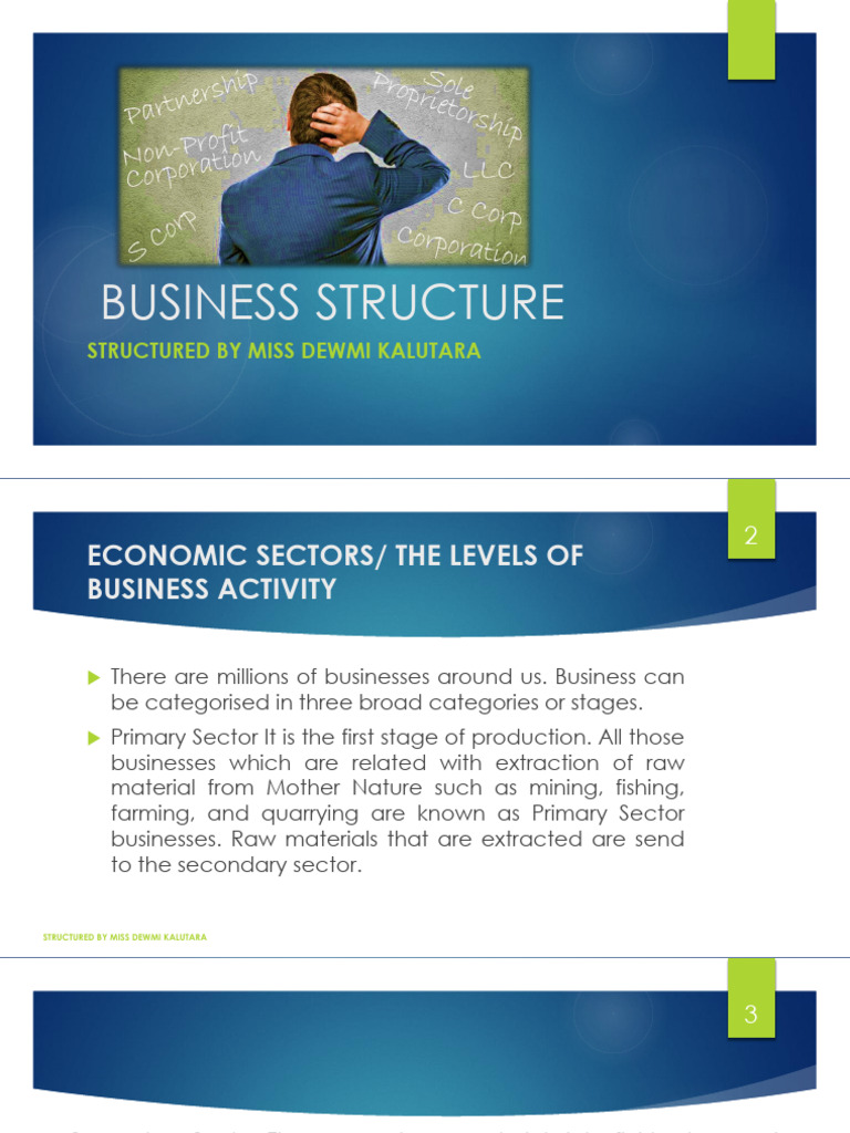 Understanding Business Structures and Sectors | PDF | Franchising ...