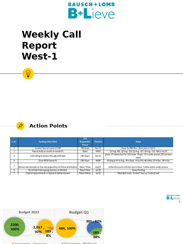 Weekly Call Report: Action Points & Sales Data | PDF | Financial Accounting