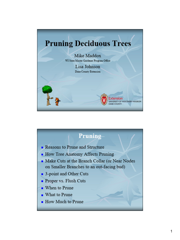 Essential Guide to Pruning Deciduous Trees | PDF | Pruning | Plants