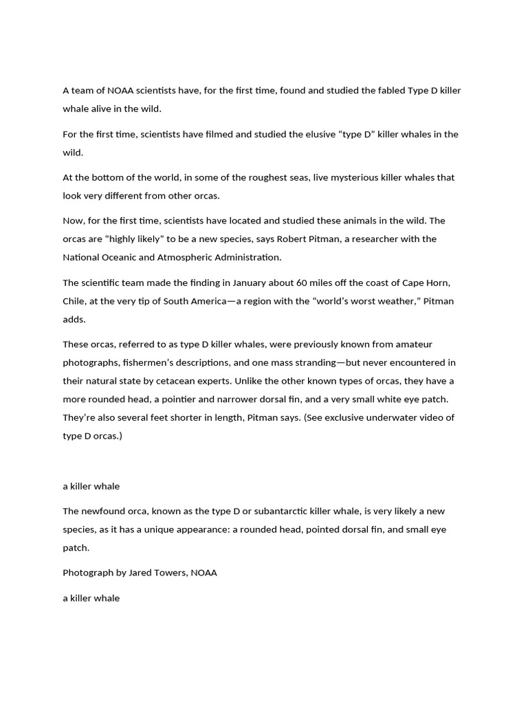 Whales Pdf Whales Cetaceans