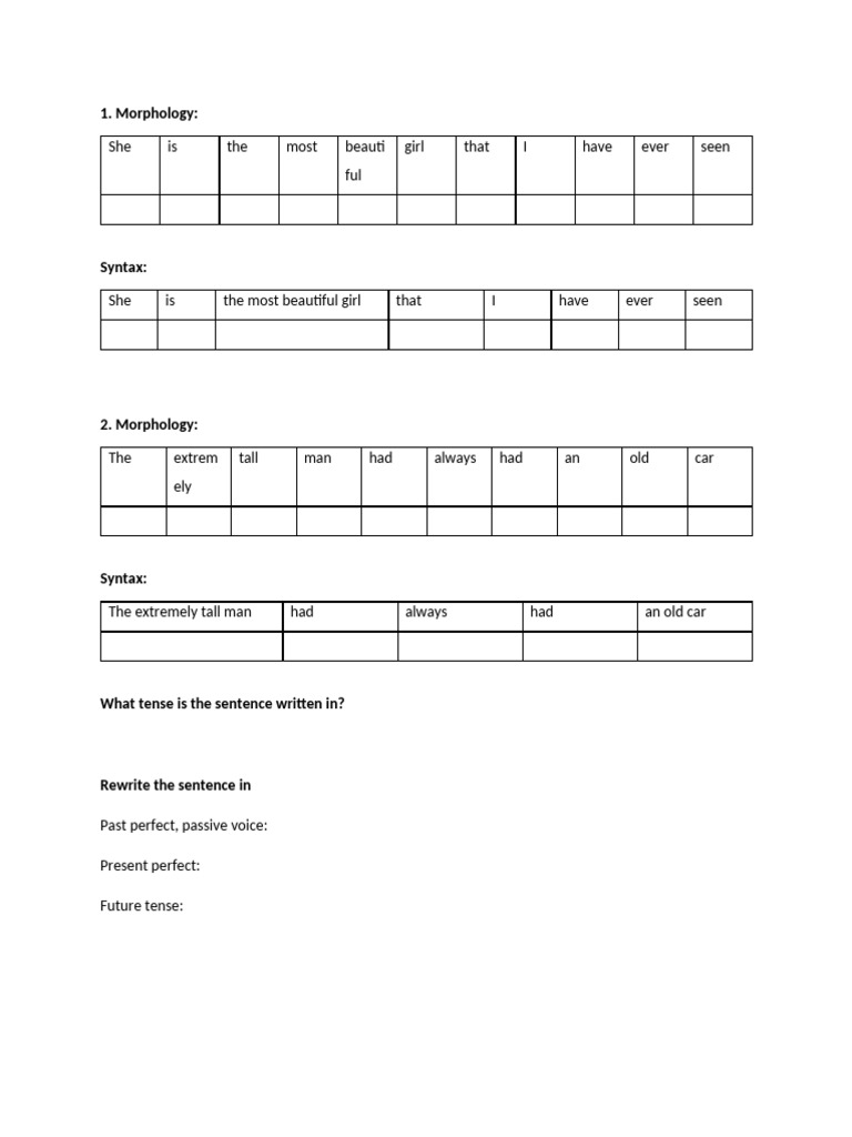 Morphology and Syntax Analysis 2 | PDF