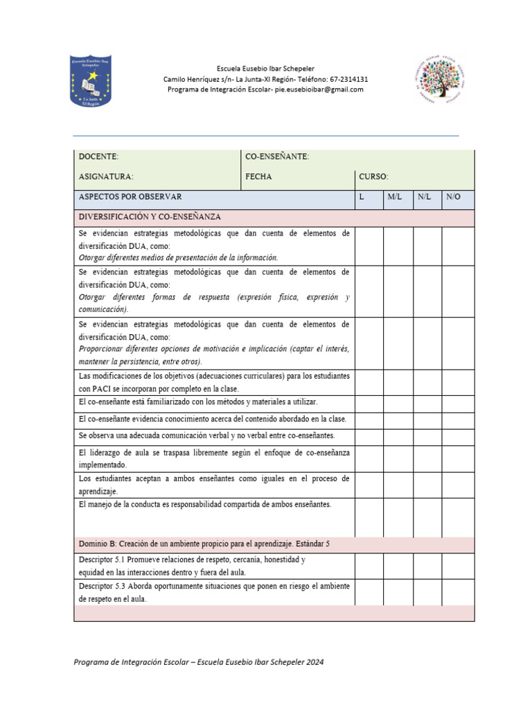 Pauta de Acompañamiento Al Aula - Co Enseñanza 2024 | PDF | Maestros ...