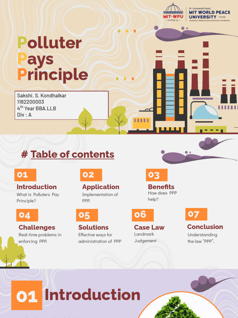 Understanding the Polluter Pays Principle | PDF | Environmental Law ...