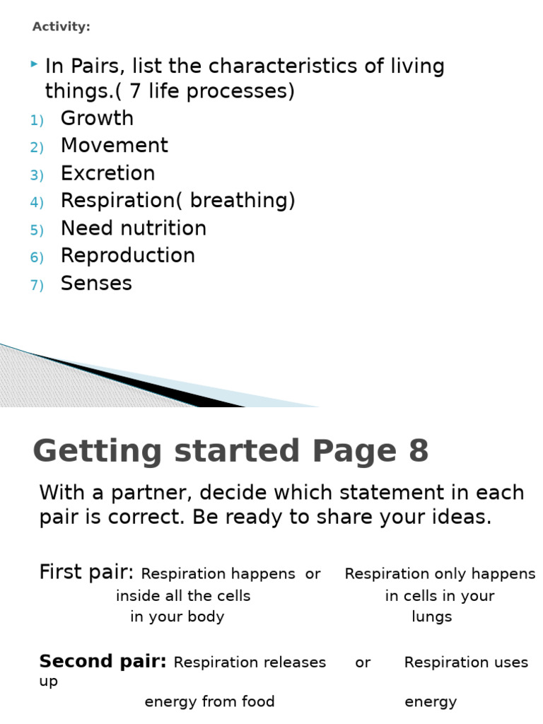 Respiratory system visual data 2