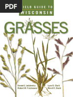 GRass N | PDF | Plants | Botany
