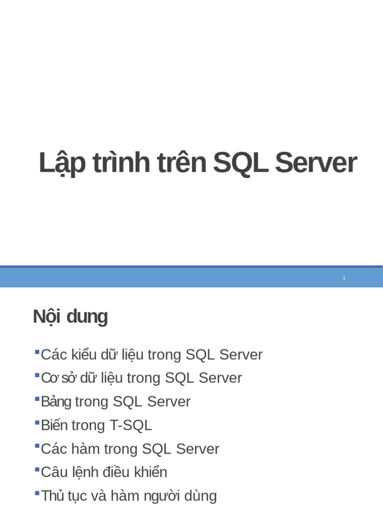 Ch2 - Lap Trinh Tren SQL Server - Phan 2 | PDF