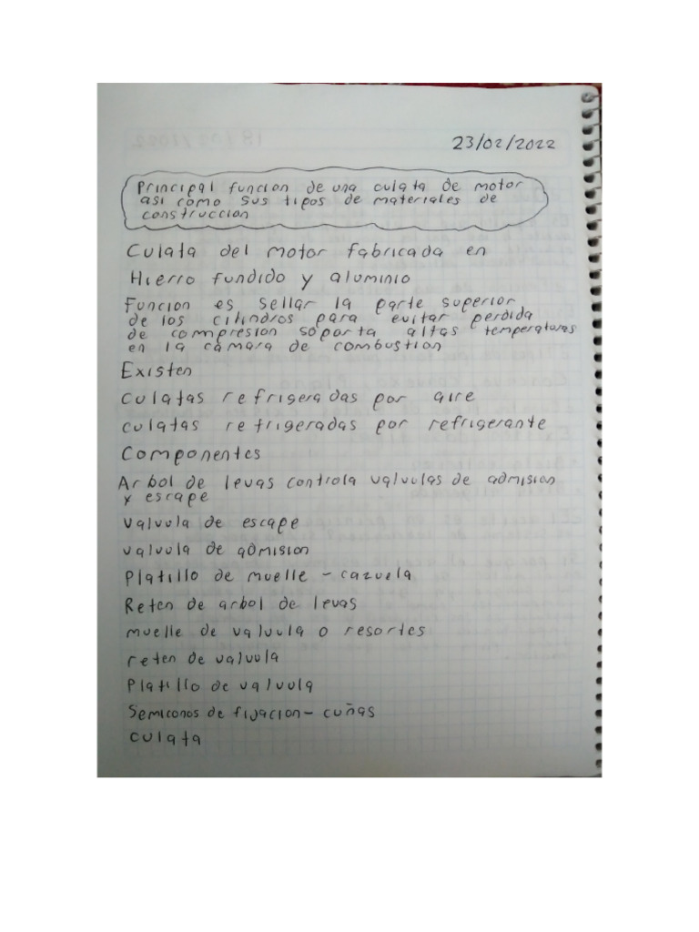 Actividades Del 21 Al 25 de Febrero | PDF