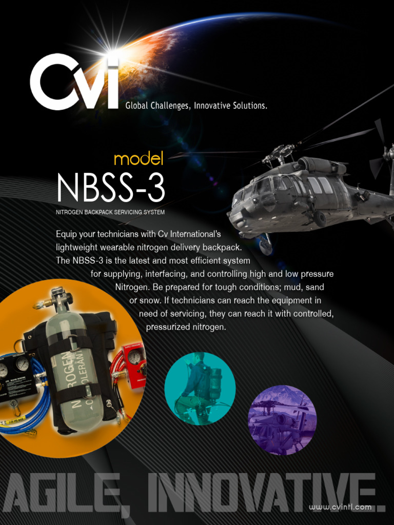 NBSS-3 Nitrogen Delivery System | PDF | Valve | Equipment