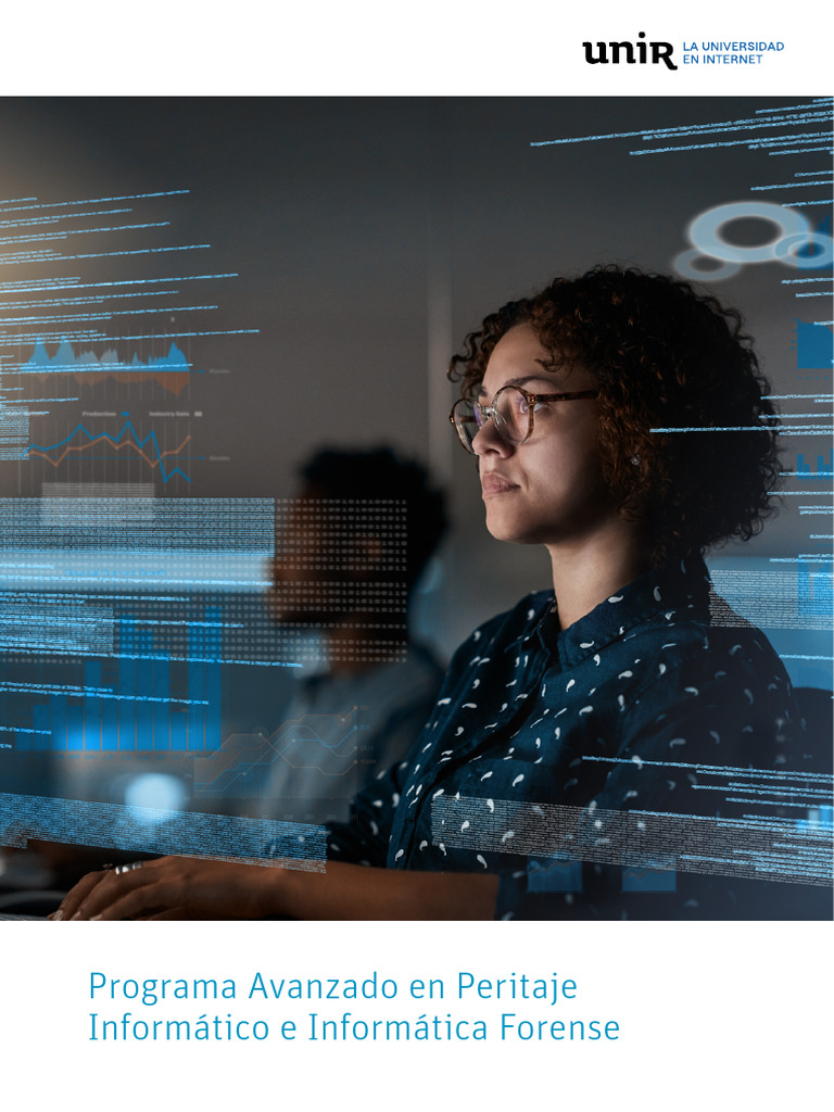 Peritaje Informatico | PDF | Testigo experto | Experto