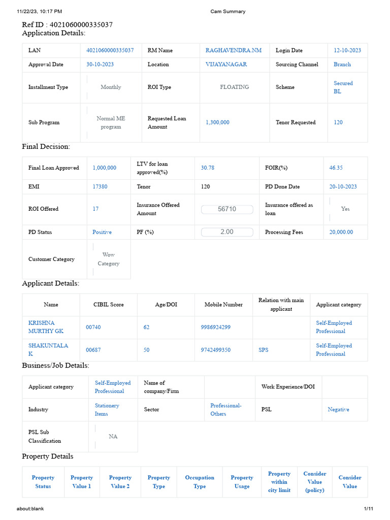 Cam summary pdf personal finance loans