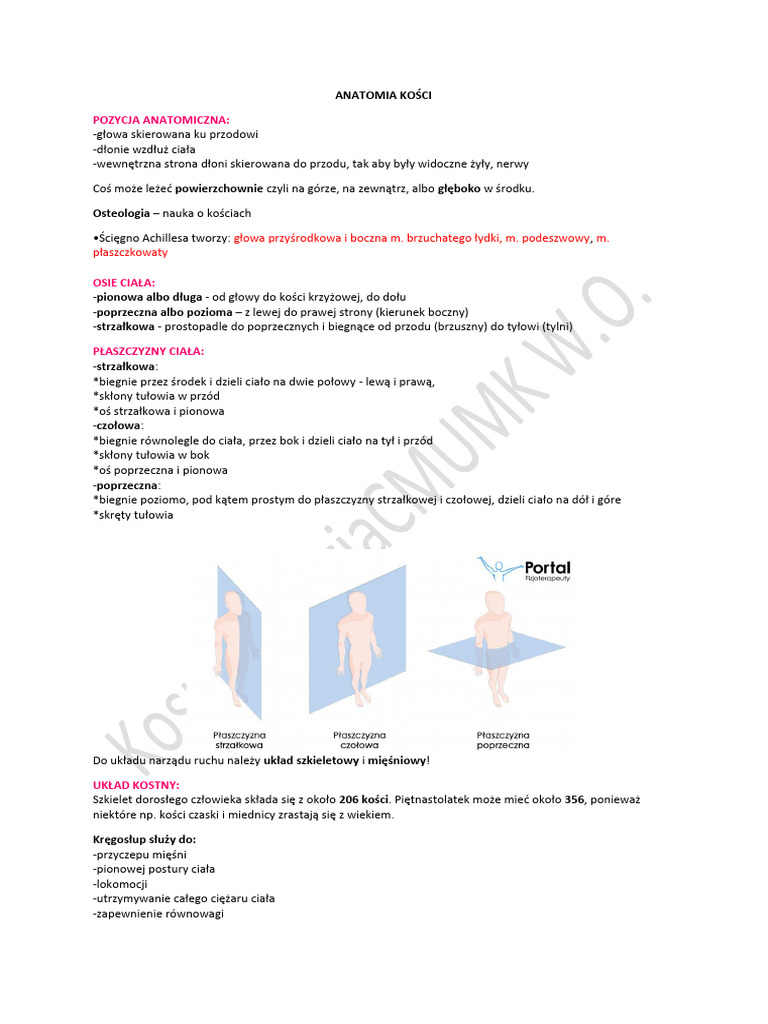 Układ Ruchu | PDF