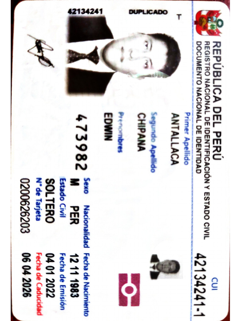 Documento 61 | PDF