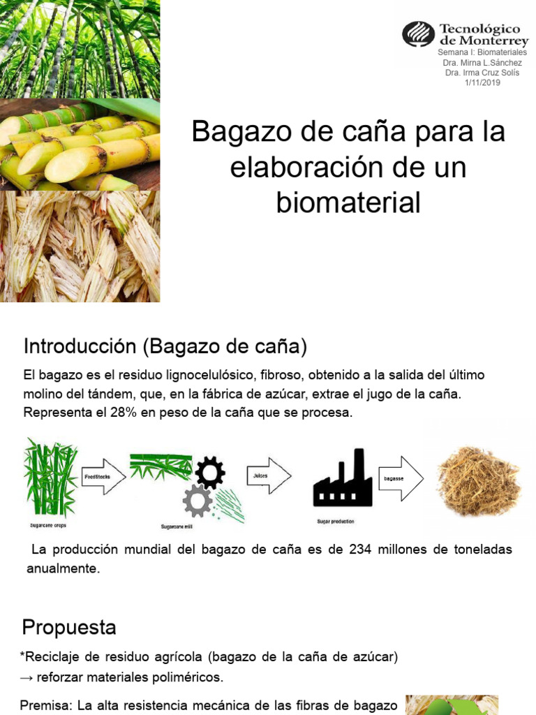 Biomateriales a partir de bagazo de caña | PDF | Material compuesto ...
