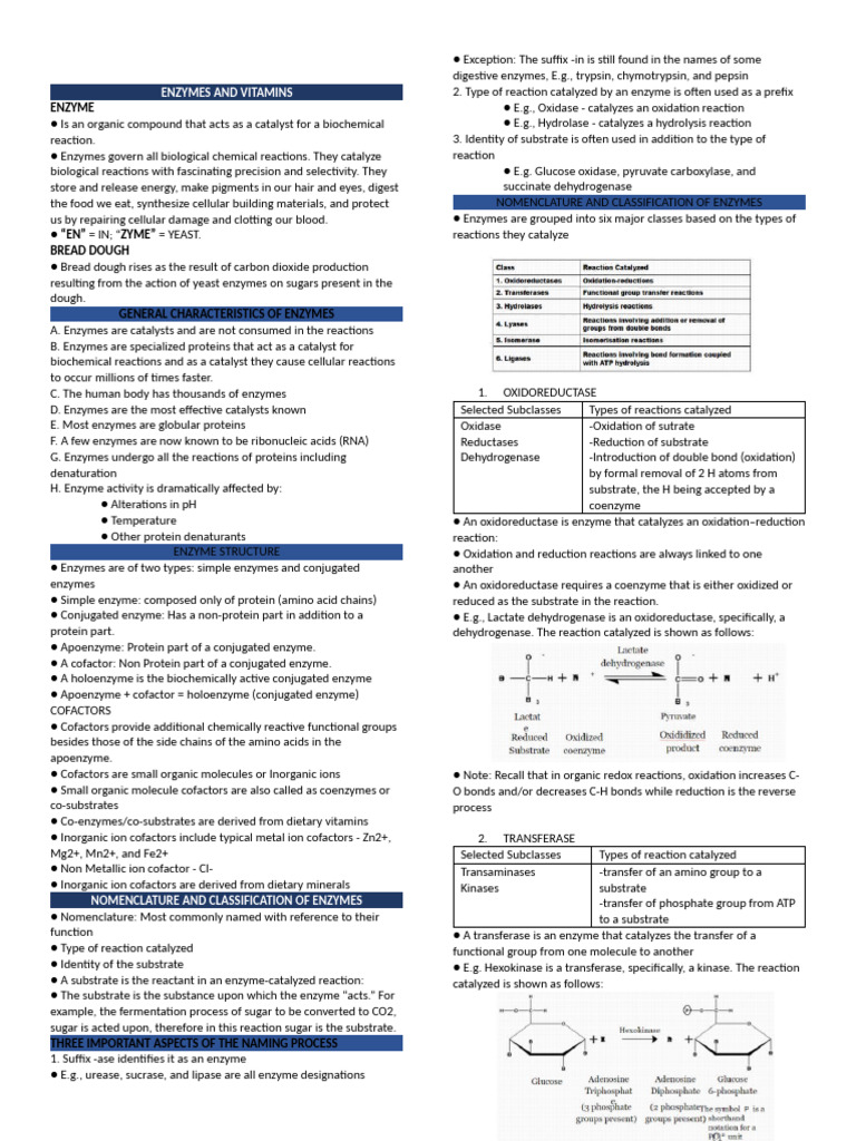 ENZYMES AND VITAMINS | PDF | Cofactor (Biochemistry) | Enzyme