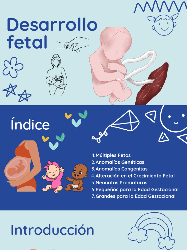 Desarrollo Fetal y Sus Desafíos | PDF | Feto | Parto prematuro