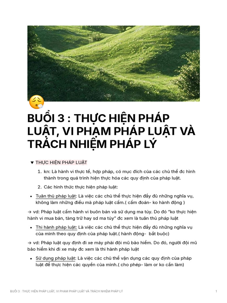 Bui 3 THC Hin PHP Lut Vi PHM PHP Lut V TRCH Nhim PHP L | PDF