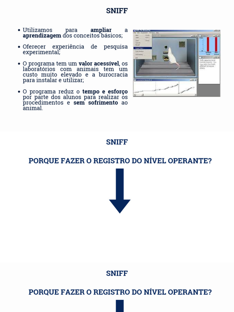 Utilizando o Sniff | PDF