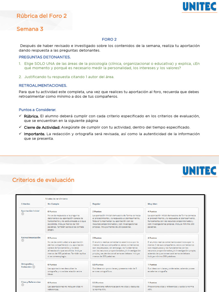 Rúbrica Del Foro 2 - PPD | PDF