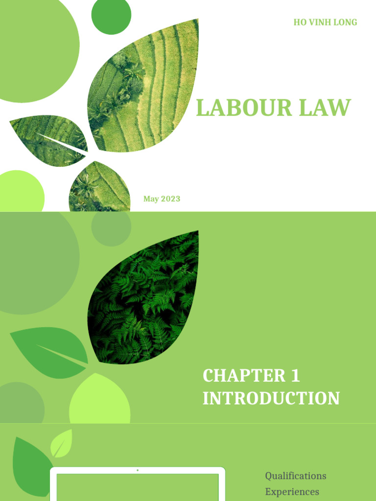 Chapter 1 Introduction May23 | PDF | Employment | Labour Law