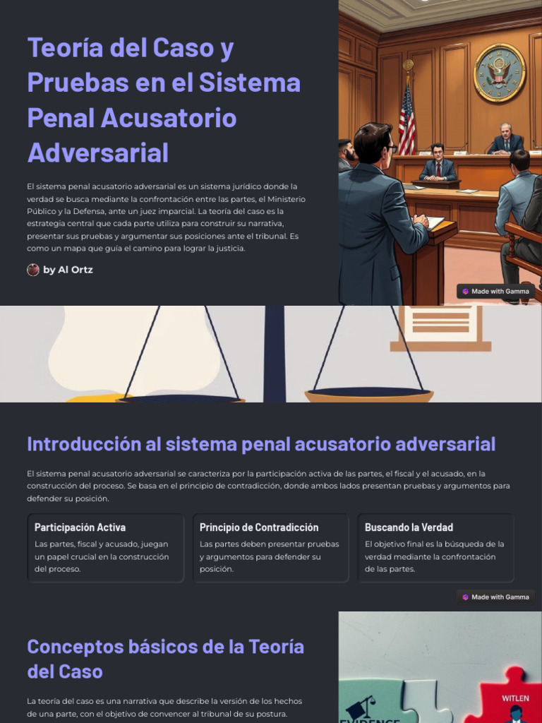 Teoría del Caso en el Sistema Penal Acusatorio | PDF | Teoría | Fiscal