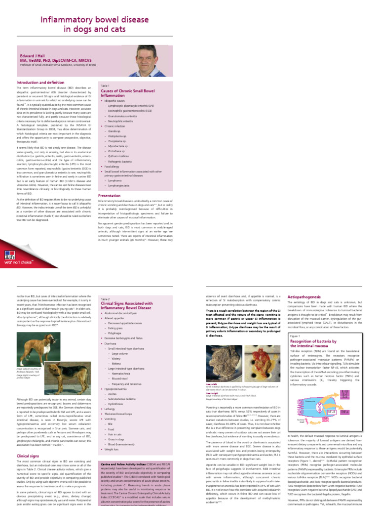 Inflamatory Bowel Disease | PDF | Inflammatory Bowel Disease | Inflammation