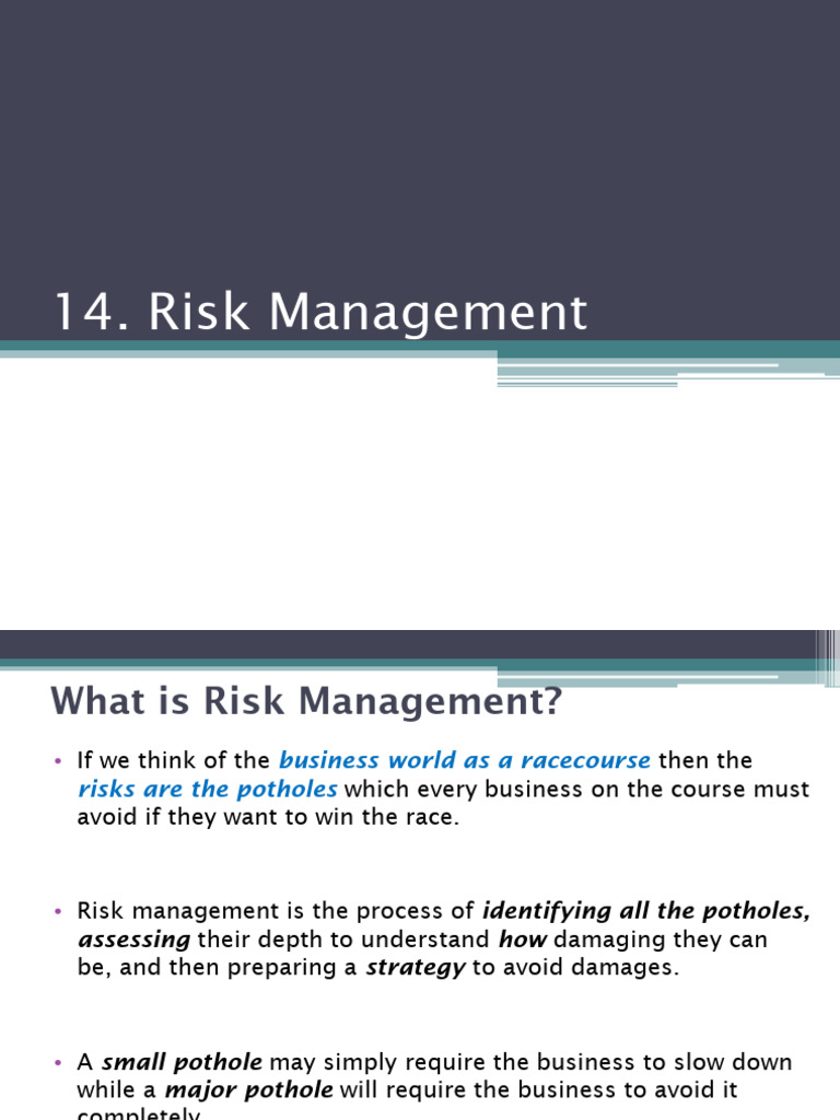 Essential Guide to Risk Management | PDF | Risk | Risk Management
