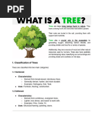 Timber Conversion Methods Explained | PDF