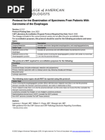 CAP Protocol for Ureter/Renal Carcinoma | PDF | Carcinoma | Kidney