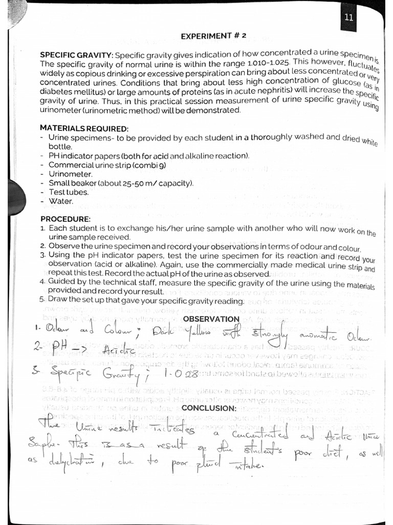 Chempath Manual | PDF